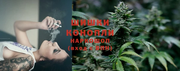 дживик Зеленодольск