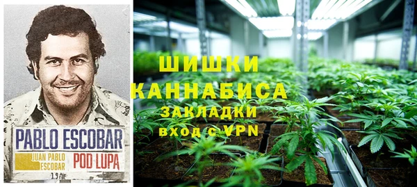 дживик Зеленодольск