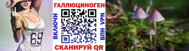 Купить закладки  Белая Холуница  Галлюциногенные грибы прущие грибы 